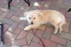 Paul-2013-08-06